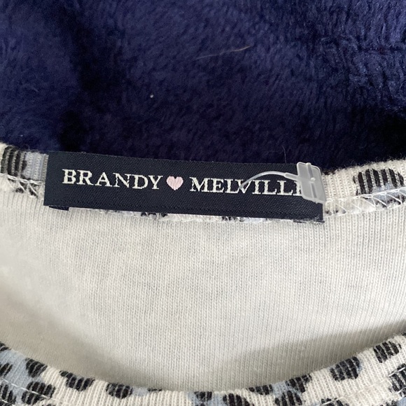 Brandy Melville Ashlyn Blue Cheetah Cropped Short Sleeve - Picture 3 of 3